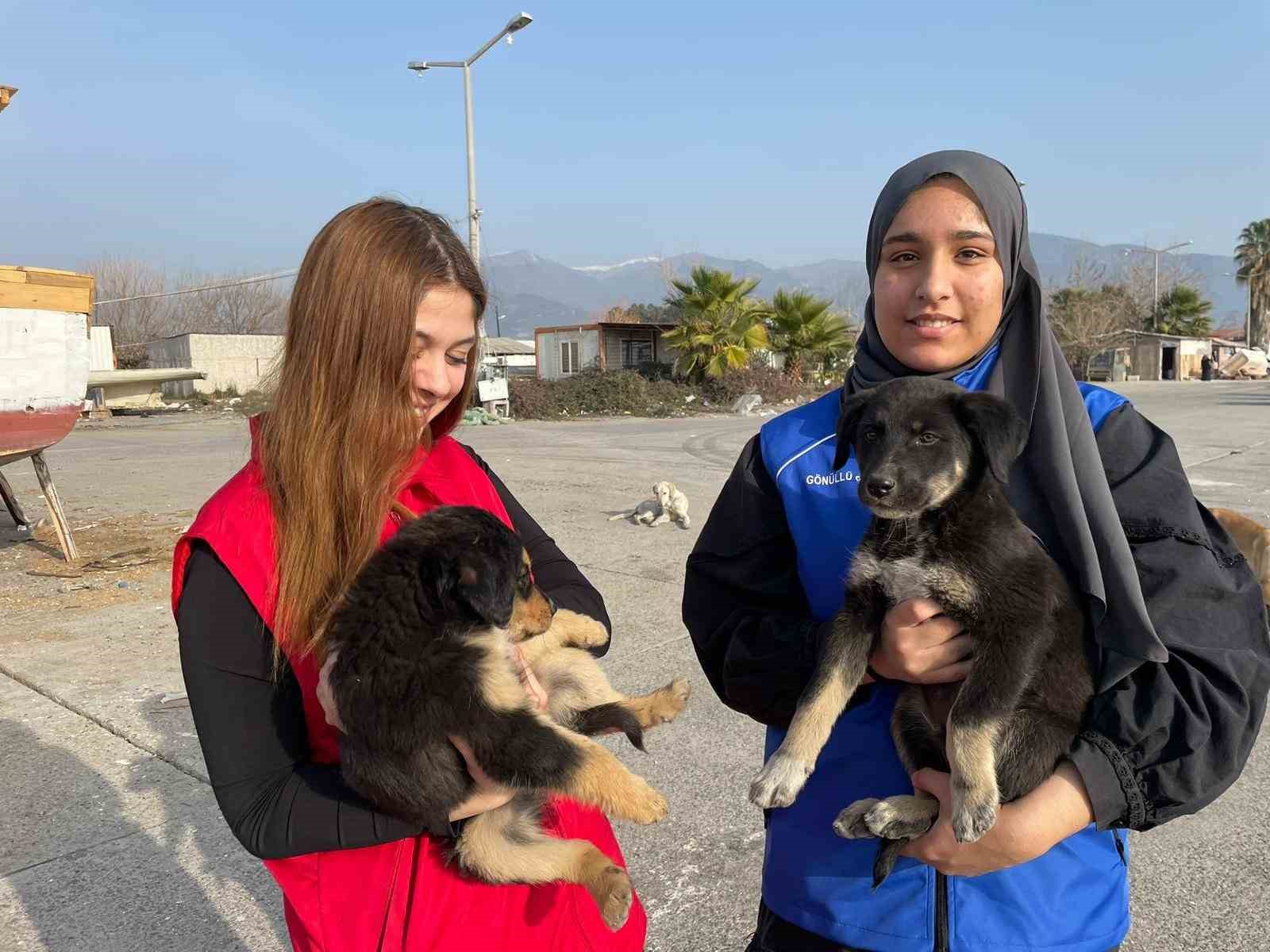 Almanya’da yaşayan gurbetçi, depremzede sokak hayvanlarını unutmadı
