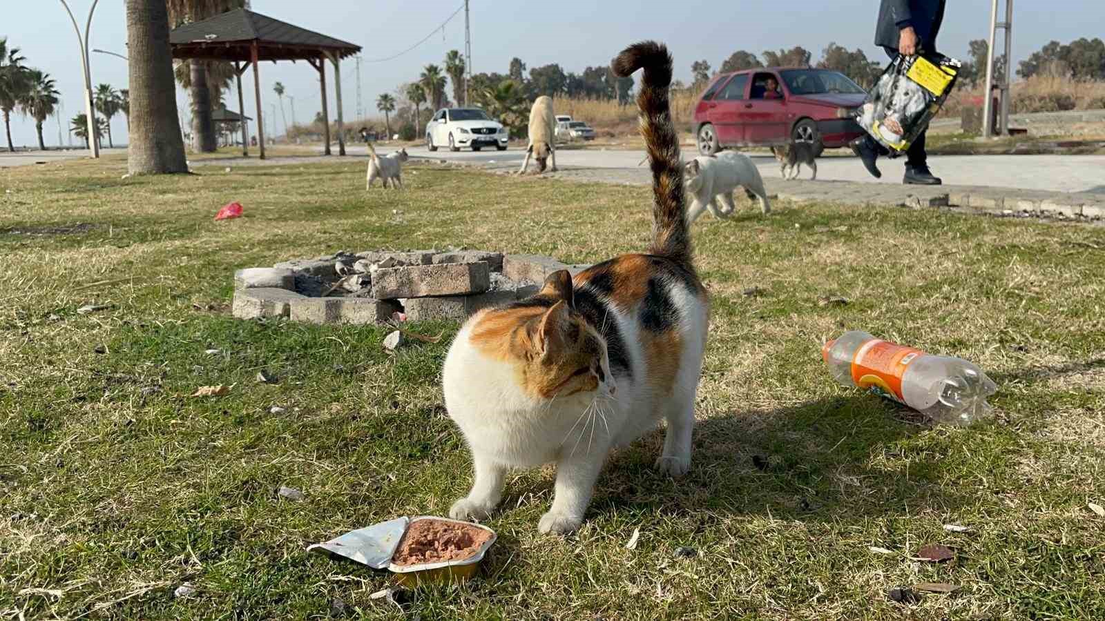 Almanya’da yaşayan gurbetçi, depremzede sokak hayvanlarını unutmadı