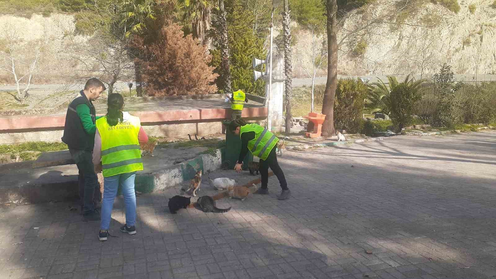 Osmaniye’de sokak hayvanlarına mama desteği