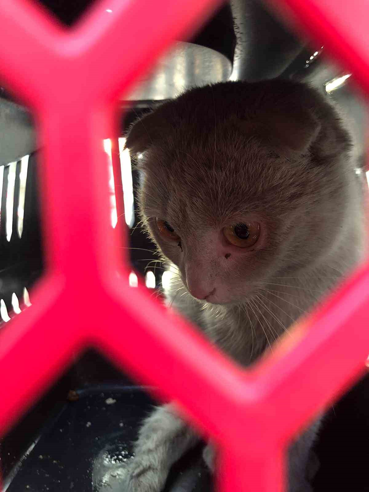 Sessiz canlarında kahramanı oldular